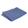 Cotten 60" Square Blue and White Throw